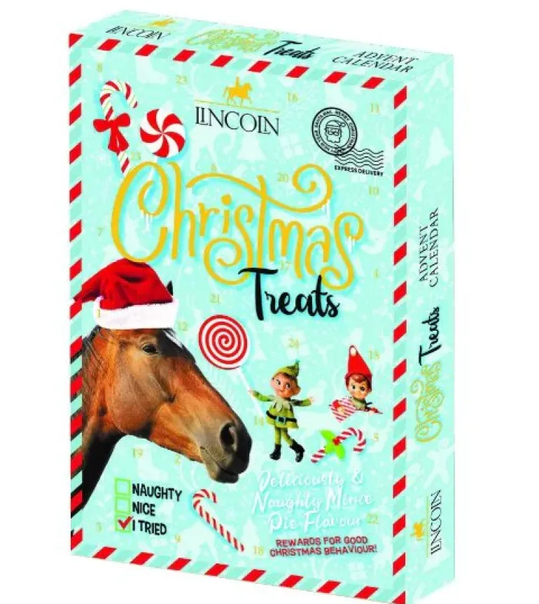 Lincoln Naughty or Nice Advent Calendar