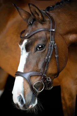 Montar Monarch Jumping Bridle Eco Leather