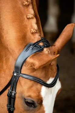 Montar Monarch Jumping Bridle Eco Leather