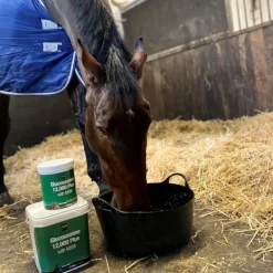 NAF Glucosamine 12,000 Plus with MSM