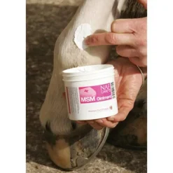 Naf Msm Ointment 250G