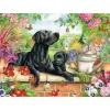 Otter House 1000 Piece Puzzles
