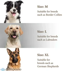 Pampeano Leather Dog Collar Hermoso