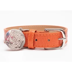 Pet London Langham Collar
