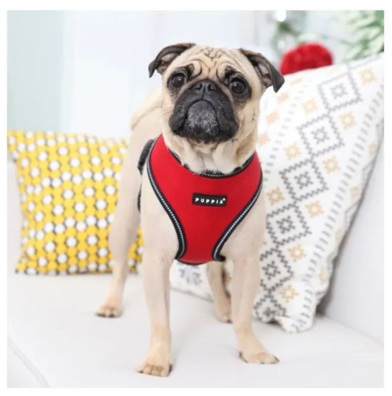 Pet London Trek Harness A