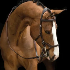 Rambo Micklem Competition Bridle