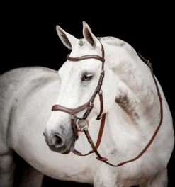 Rambo Micklem Competition Bridle