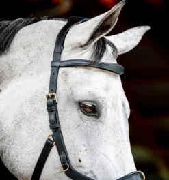 Rambo Micklem Multi Bridle