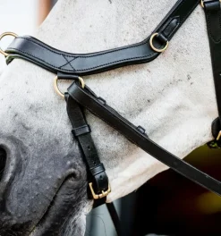 Rambo Micklem Multi Bridle