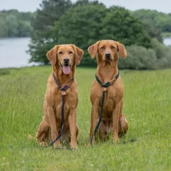 Ruff & Tumble Slip Lead