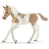 Schleich Paint Horse Foal