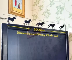 ShadowShapes Pony Club Series
