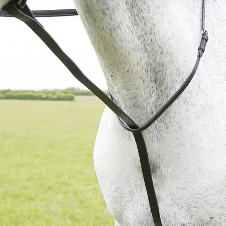 Shires Blenheim Standing Martingale Black Cob