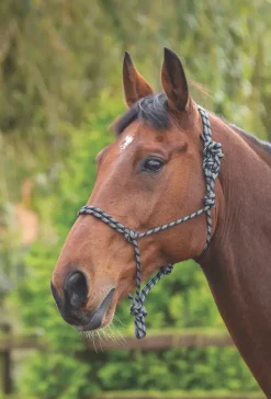 Shires Rope Control Headcollar