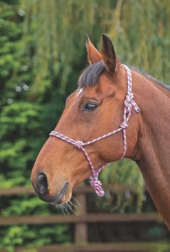 Shires Rope Control Headcollar