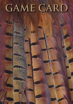 Shoot Game Cards - Pheasant Tail Feathers by Charles Sainsbury-Plaice