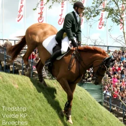 Tredstep Ireland Mens Verde Breeches