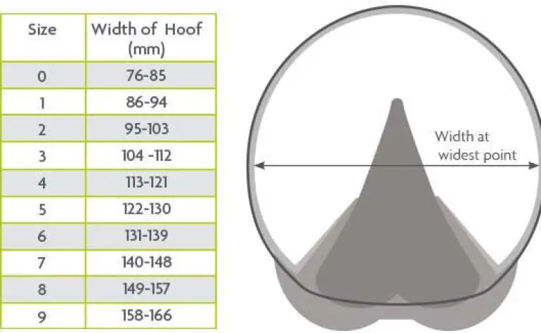 Woof Wear Medical Hoof Boot
