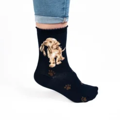 Wrendale 'Hopeful' Socks